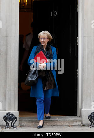 London, UK. 10th June, 2019. File photo taken on Nov. 26, 2018 shows former Leader of the Commons Andrea Leadsom leaving 10 Downing Street after a cabinet meeting in London, Britain. The race to choose a new prime minister officially started on June 10, 2019 with ten hopefuls bidding to win the biggest job in British politics. Credit: Han Yan/Xinhua/Alamy Live News Stock Photo