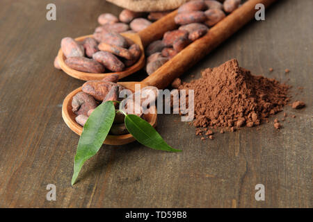 Cocoa beans in spoons and cocoa powder on wooden background Stock Photo