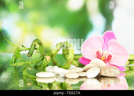 Still life with green bamboo plant, orchid and stones, on bright background Stock Photo