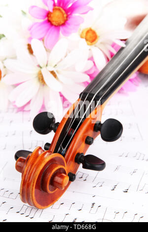 Classical violin  with flowers on notes Stock Photo