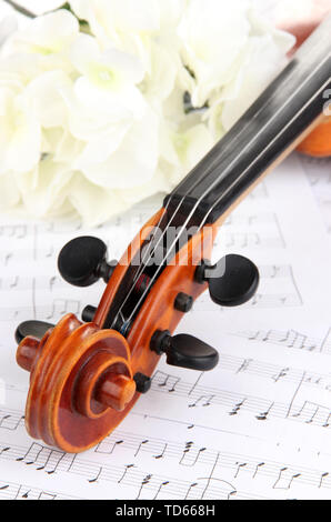 Classical violin  with flowers on notes Stock Photo