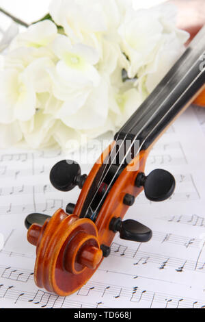 Classical violin  with flowers on notes Stock Photo