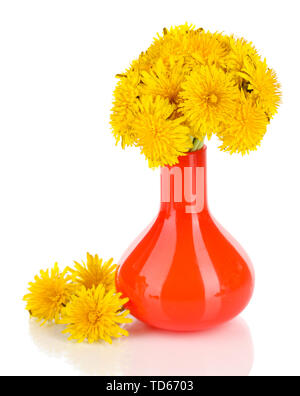 Dandelion flowers in vase isolated on white Stock Photo