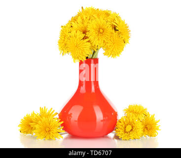 Dandelion flowers in vase isolated on white Stock Photo