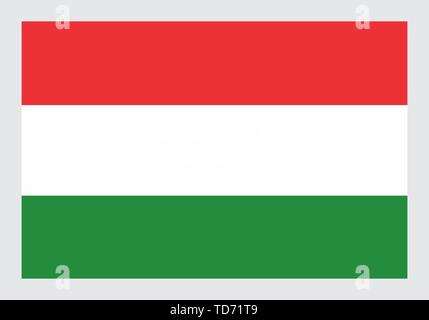 Illustration of the isolated Hungary national flag Stock Vector