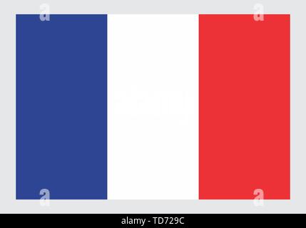 Illustration of the isolated France national flag Stock Vector