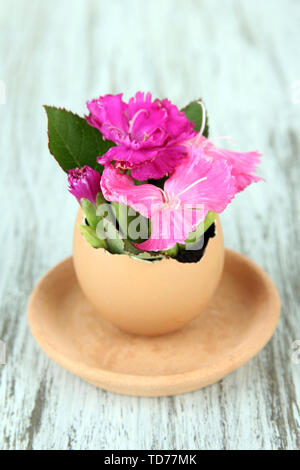 Flowers growing from egg shell, on wooden background Stock Photo