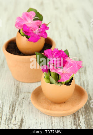 Flowers growing from egg shell, on wooden background Stock Photo