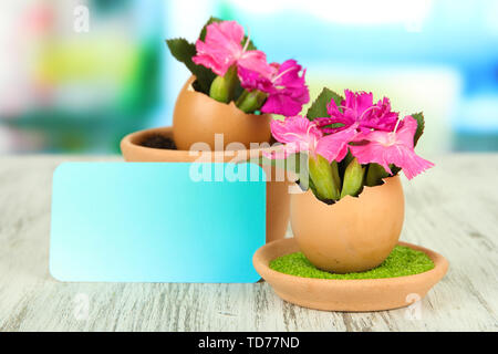 Flowers growing from egg shell, on bright background Stock Photo