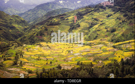 Ailao Mountain scenery Stock Photo