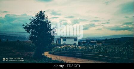 Country film mobile phone photography sky nostalgic style tone blue blue campus time golden yellow tone remote mountain village homesickness humanistic landscape record Stock Photo