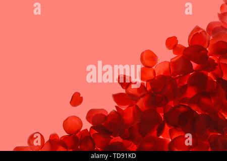 Red coral pink rose petals pattern on trendy coral background, isolated. Stock Photo