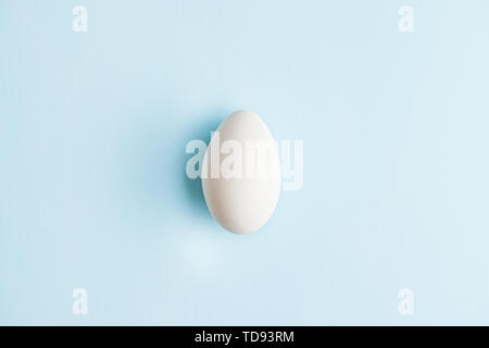 White chicken egg on blue background. Top view. Stock Photo