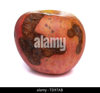 side view rotten apple on a white background Stock Photo - Alamy