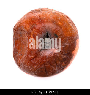 top view badly rotten apple on a white background Stock Photo - Alamy