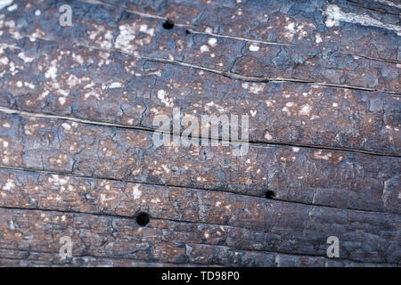 Black Charred Burned Wood Background Texture Stock Photo