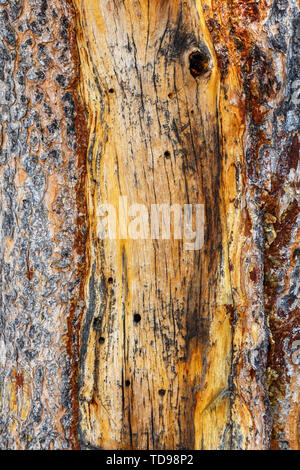 Yellow and brown Damaged Wood Background Texture Stock Photo