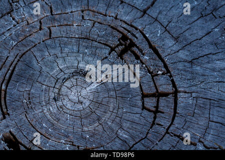 Black Charred Burned Wood Background Texture Stock Photo