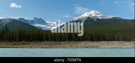 River Forest and snow capped moutains. hi res panorama Stock Photo