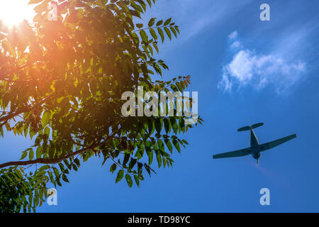 A flying plane on the background of a beautiful summer sky and a ray of sun making its way through the green foliage Stock Photo