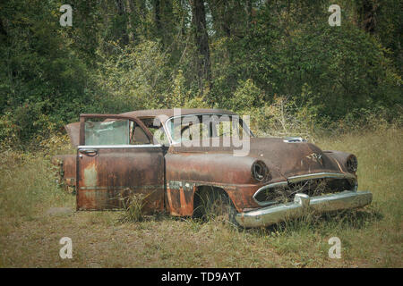 Roadside rusted old Ford trucks and cars in Florida Stock Photo