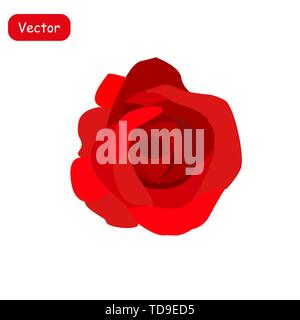 Deep red, ruby rose flower with green leaves, sketch style vector illustration isolated on white background. Realistic hand drawing of open red rose Stock Vector