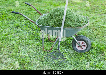 Garden tools. Wheelbarrow with grass and rake on green lawn garden Stock Photo