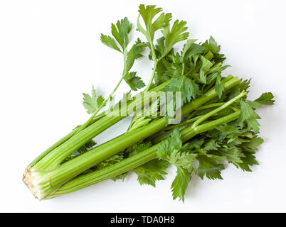 A bunch of fresh green celery on white background. Stock Photo