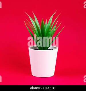 Artificial green grass in a white small pot on a red burgundy background. Stock Photo