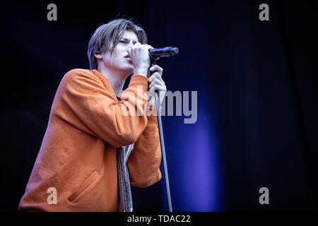 Oslo, Norway. 13th June, 2019. Norway, Oslo - June 13, 2019. The Australian singer Ruel performs a live during the Norwegian music festival Piknik i Parken 2019 in Oslo. (Photo Credit: Gonzales Photo/Alamy Live News Stock Photo