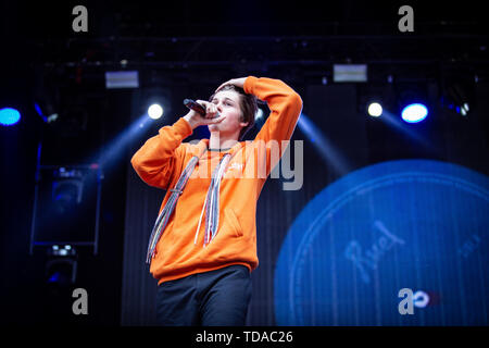 Oslo, Norway. 13th June, 2019. Norway, Oslo - June 13, 2019. The Australian singer Ruel performs a live during the Norwegian music festival Piknik i Parken 2019 in Oslo. (Photo Credit: Gonzales Photo/Alamy Live News Stock Photo