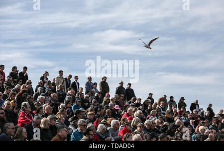 Sydney, Australia. 14th June, 2019. People mourn former Australian Prime Minister Bob Hawke outside the Sydney Opera House in Sydney, Australia, June 14, 2019. Former Australian Prime Minister Bob Hawke has been farewelled at a state memorial service inside the Sydney Opera House on Friday. Remembered as one of Australia's most significant political figures, Hawke passed away peacefully last month at the age of 89. Credit: Bai Xuefei/Xinhua/Alamy Live News Stock Photo