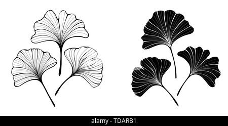 Set of monochrome, black, contour, stylized, isolated leaves of ginkgo biloba on white background. Stock Vector