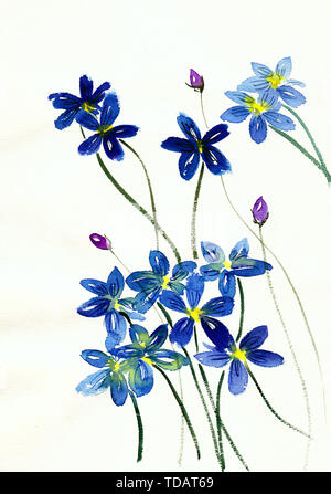 Blue Flowers - Plants Painted With Watercolors and Ink