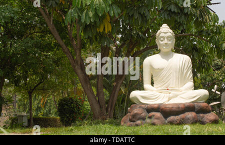 Bangalore, Karnataka India-June 04 2019 : White Buddha statue in meditating posture on stone table with nature as a background Stock Photo
