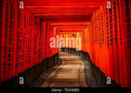 Kyoto, Japan - Apr 5, 2014. Thousands vermilion Torii gates of Fushimi Inari-taisha Shrine in Kyoto, Japan. The Shrine is the most important Shinto sa Stock Photo