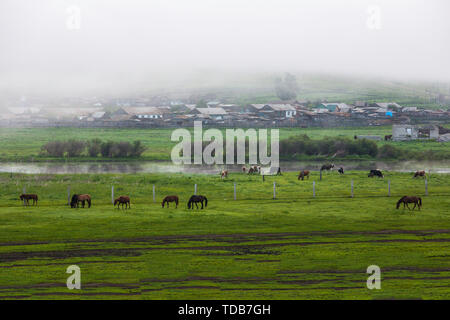The pastoral scenery of the Sino-Russian border Stock Photo