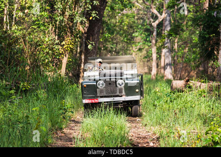 CHITWAN NATIONAL PARK, NEPAL - CIRCA MAY2019: A vintage Land Rover Series II is being driven in Chitwan National Park jungle. The car has been modifie Stock Photo