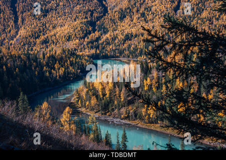 Through the blue river in the forest. Stock Photo