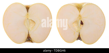 Yellow apple cut in 2 halves (Chantecler, chanteclerc, Malus domestica). Variety mix of Golden Delicious and the Clochard Pippin. Front view. Isolated Stock Photo