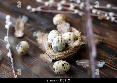 quail eggs, feathers, willow branches on a wooden table. Vintage effect Selective focus Stock Photo