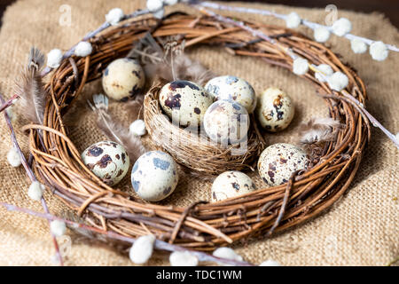 quail eggs, feathers, willow branches on a wooden table. Vintage effect Selective focus Stock Photo