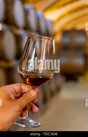 Tasting of fortified dry or sweet marsala wine in vintage wine cellar with old oak barrels in Marsala, Sicily, Italy, wine glass with wine Stock Photo