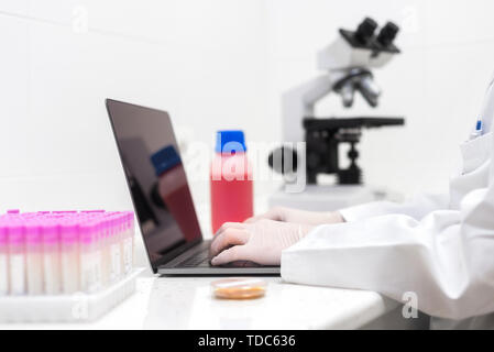 scientist using laptop in laboratory. Close-up partial view of scientist using laptop in laboratory . Stock Photo