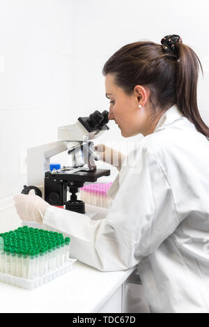 Researcher working in laboratory looking through microscope . Stock Photo