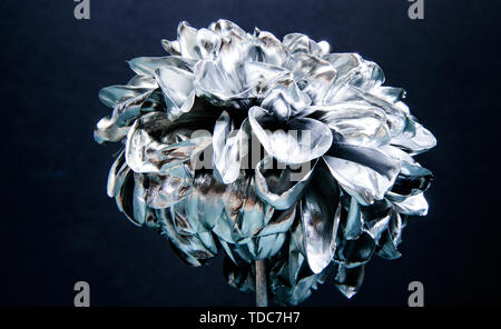 Flower covered metallic paint close up. Metal flower. Abstract art. Eternal beauty. Botany concept. Forging and sculpture. Beautiful black silver flower. Floral shop. Metallic steel color. Stock Photo