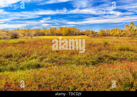 Autumn colors on the shores of Sun Lake on the paddock dam Stock Photo