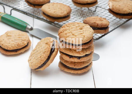 Homemade kingston biscuits. Australian biscuit. Round coconut and oat biscuits with chocolate cream in the middle Stock Photo