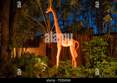 Orlando , Florida. May 03, 2019. Colorful giraffe in Animal Kingdom at Walt Disney World area. Stock Photo