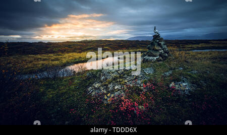 A traveling pigeon standing on a stone reef in the morning Stock Photo